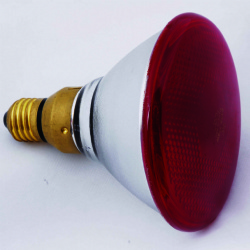 Par38 IR infrared heating lamp