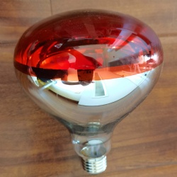 R125 IR infrared heating lamp bulb